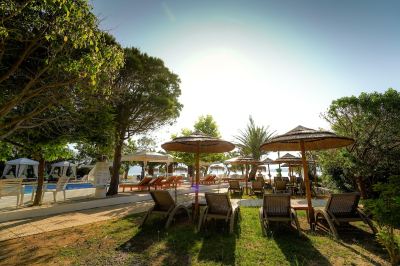 a beautiful outdoor area with umbrellas , sun loungers , and tables , surrounded by trees and a swimming pool at Hotel Summery