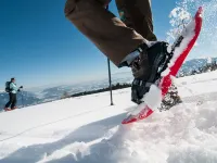 Dobratschblick Alpe Maritima Ski&See-14