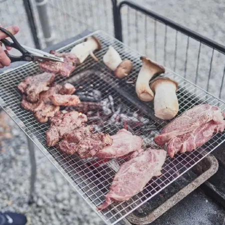 Seosan Pet & Tree Dog Glamping (Individual Barbecue)