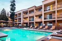 Sonesta Select Los Angeles LAX El Segundo - Pools