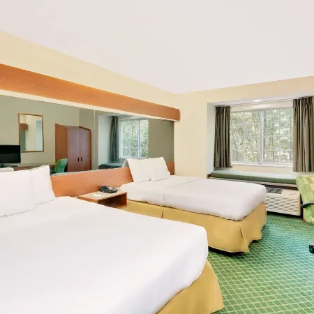 Microtel Inn & Suites by Wyndham Augusta Riverwatch