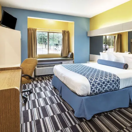 Microtel Inn & Suites by Wyndham Stockbridge/Atlanta I-75