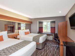 Microtel Inn & Suites by Wyndham Springfield