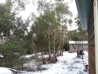 Hobart Bush Cabins Hôtels à : Margate