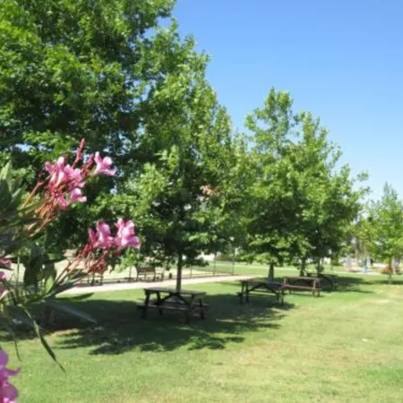 Sadev Turizm Belek Family Villas