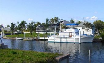 Tropical Paradise Bed & Breakfast - Housity