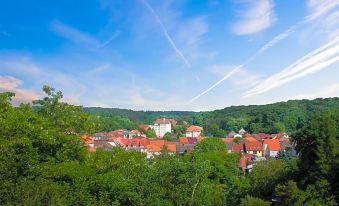 Hotel Zur Burg Gmbh