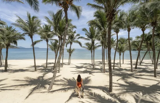 峴港陽光半島洲際度假酒店