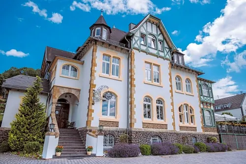 Alte Landratsvilla Hotel Bender - Wifi