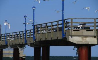 Pension Inselparadies Zingst