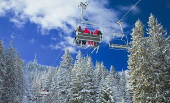 Rivendell Apartments Sequoia Borovets - Housity