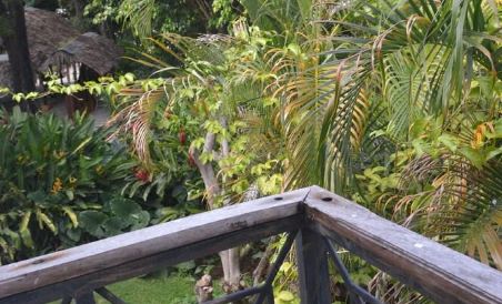 Hotel Rancho Don Cesar - Housity