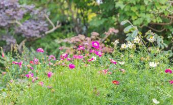 a lush green garden with a variety of colorful flowers , including pink and white flowers at Dunlin