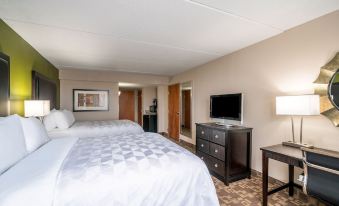 Holiday Inn Manassas - Battlefield