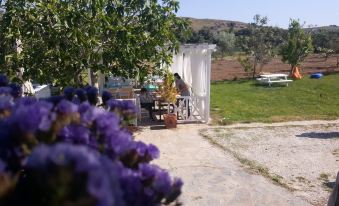 Madam Eleni - Housity