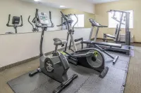 近堪薩斯賽道温德姆戴斯酒店 - 健身室/gym room