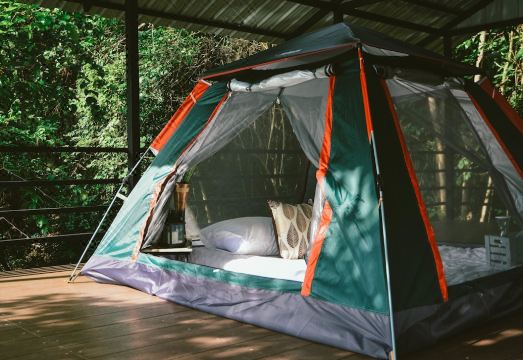 Elephant Jungle Sanctuary