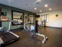 Hampton Inn Indianapolis NW/Zionsville - Gym