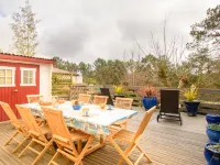 Dans la foret de Pin