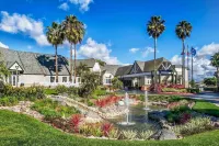 Hilton San Diego/Del Mar - WiFi