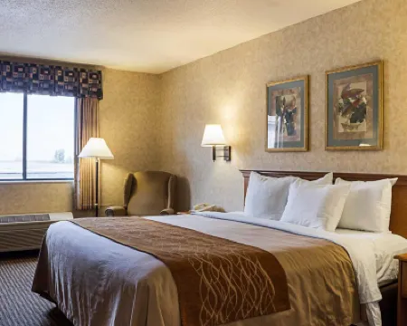 Travelodge by Wyndham Rapid City/Black Hills Hotel a 