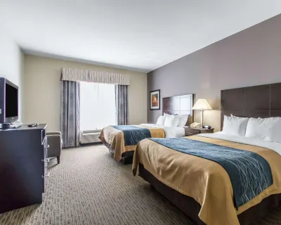 Comfort Inn & Suites Oklahoma City West - I-40 Hotels in Oklahoma City
