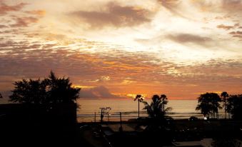 3. Phuket E..