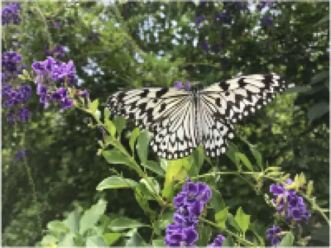 喜界第一酒店 喜界町酒店