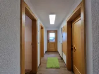 Apart Ladner - Lemmikkieläimet sallittu