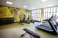 Hilton Garden Inn Southern Pines / Pinehurst - gimnasio