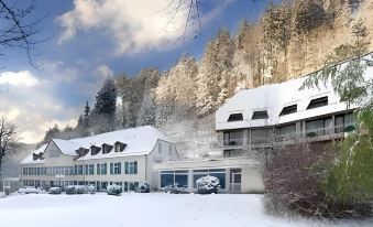 Waldhotel Bad Sulzburg