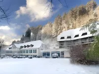Waldhotel Bad Sulzburg Hotels in Munstertal