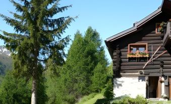 "CHALET dei FIORI" Rooms