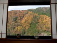 Yamamizuki Urara Tsutaya