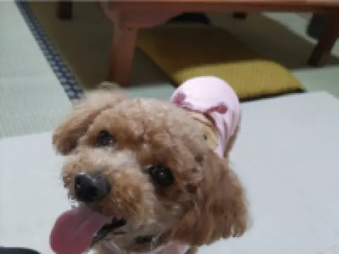 藝術城飯店 宮古住宿飯店