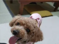 Hotel Art City Hotels in Miyako