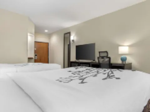 スリープ イン & スイーツ モンゴメリー イースト I-85 モントゴメリーのホテル