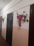 Chayka Mini-Hotel