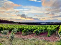 Cozy Vacation Rental in Peaceful Peral, Portugal Hotels in Cadaval