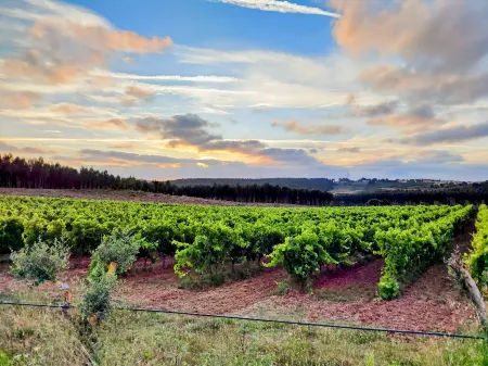 Cozy Vacation Rental in Peaceful Peral, Portugal Отели в г. Кадавал