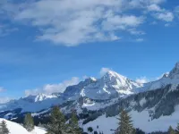 Am Gilsbach 2 Hotels in Adelboden