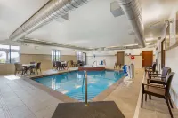 Comfort Inn & Suites - piscina