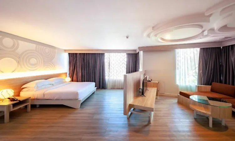 Suite-1 King Bed, Non-Smoking, Flat Screen Television, City View, Mini Bar, Bath and Shower