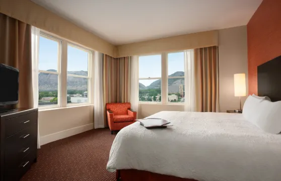 希爾頓歡朋套房酒店-奧格登