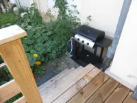 In the cozy is Hotels in Metzeral