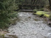 Shadybrook alpine cottage one bedroom No 3 in gardens adjoining the Ovens River