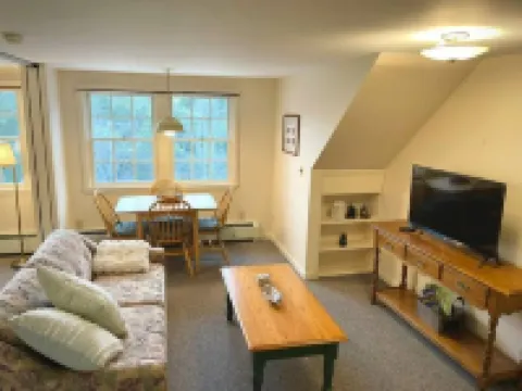 Peaceful Mtn Studio Pet-friendly