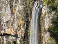 Secluded Luxury 2BR Rainforest Retreat Free Wi-Fi Hotels in Springbrook