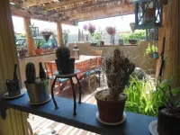 Casa Madre 3 bedroom/2 baths - 3-Star