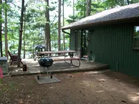 Pet-Friendly Cabin With Air-Conditioning & Fireplace
